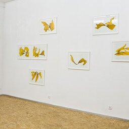 Hélianthes digigraphies