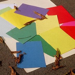 Couleurs - hivers