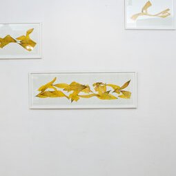 Hélianthes digigraphies