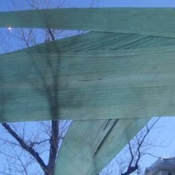 Signe singulier - détail - adhésif sur verre- Galerie Kordegarda Varsovie - 2004