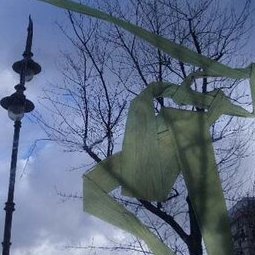Signe singulier - détail - adhésif sur verre- Galerie Kordegarda Varsovie - 2004